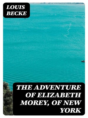 cover image of The Adventure of Elizabeth Morey, of New York